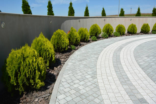 Best Residential Driveway Paver Services  in Port St John, FL